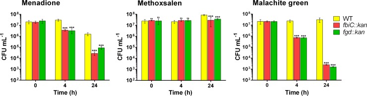 FIG 1