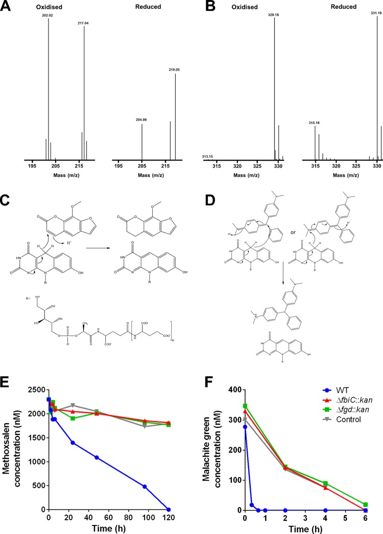 FIG 3