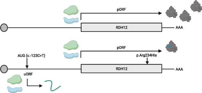 Fig. 5