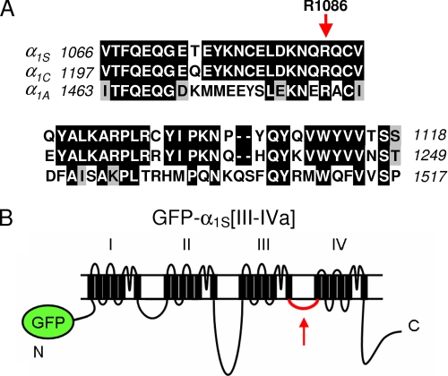 FIGURE 1.