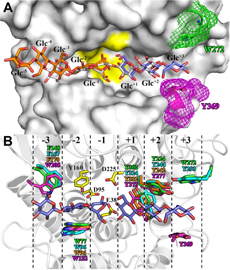 Fig 6