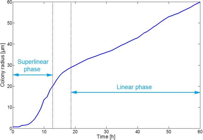 Figure 8