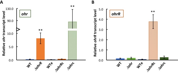 FIG 5