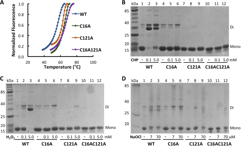 FIG 2