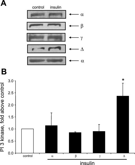 Fig. 13.