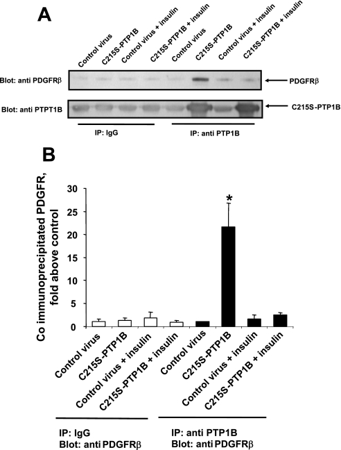 Fig. 12.