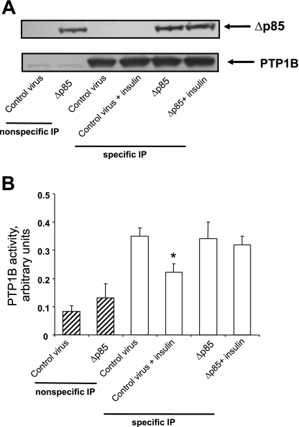 Fig. 17.