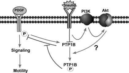 Fig. 18.