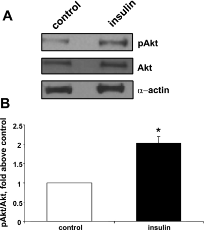 Fig. 15.