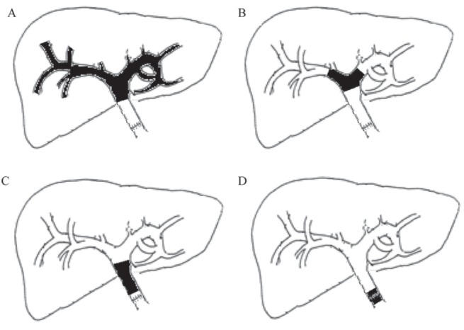 Figure 1)