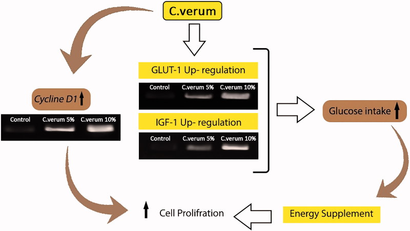 Figure 5.