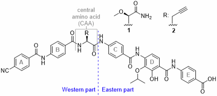 Fig. 1