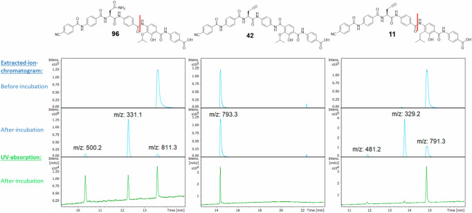 Fig. 10