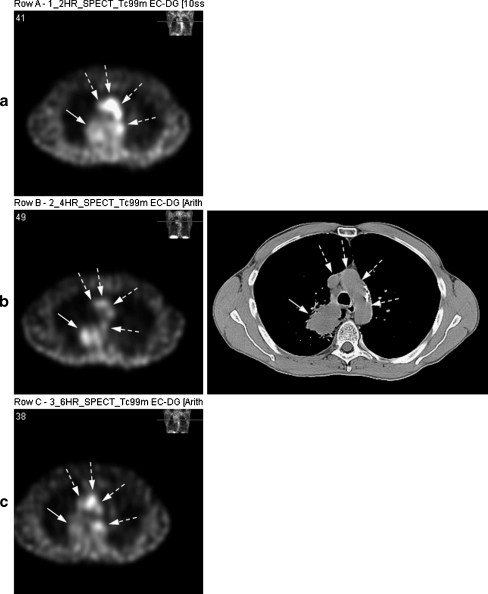 Fig. 4