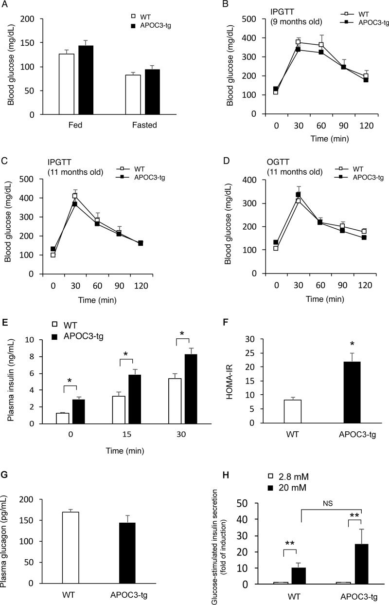 FIGURE 4.