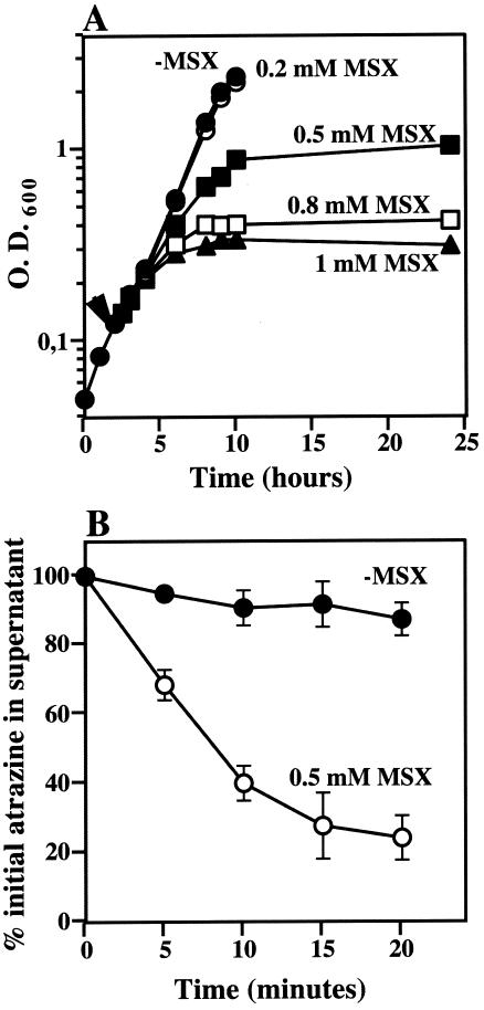 FIG. 2.