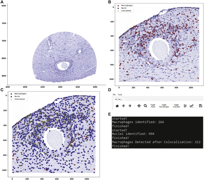 Fig. 4