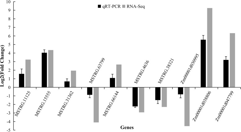 Fig. 6