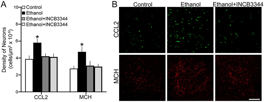 Figure 5: