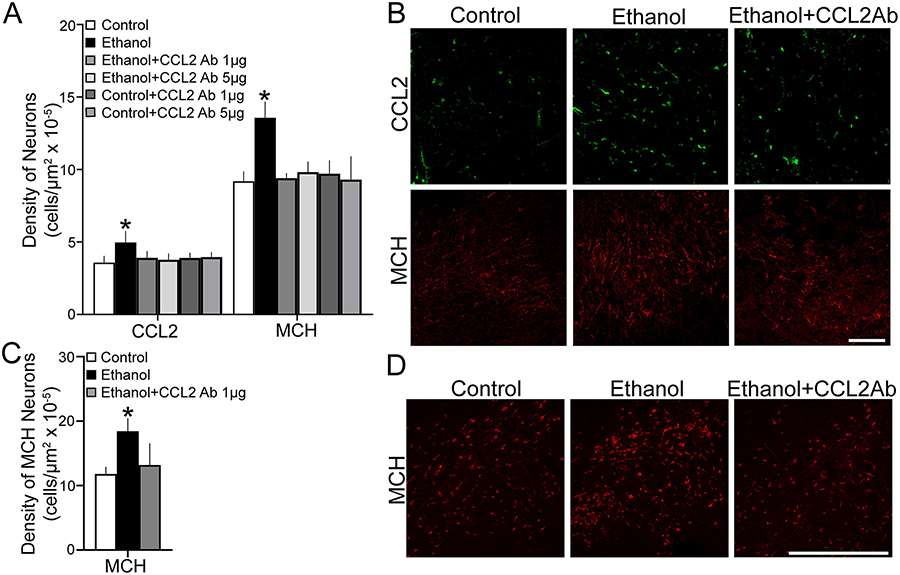 Figure 4: