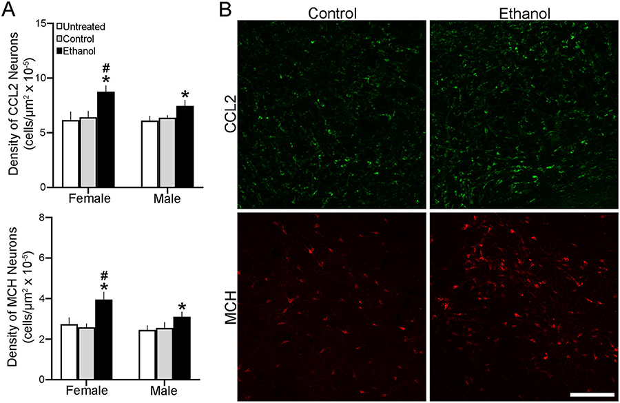 Figure 2: