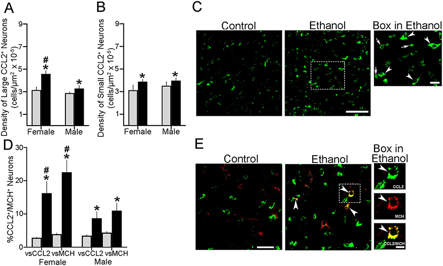 Figure 3: