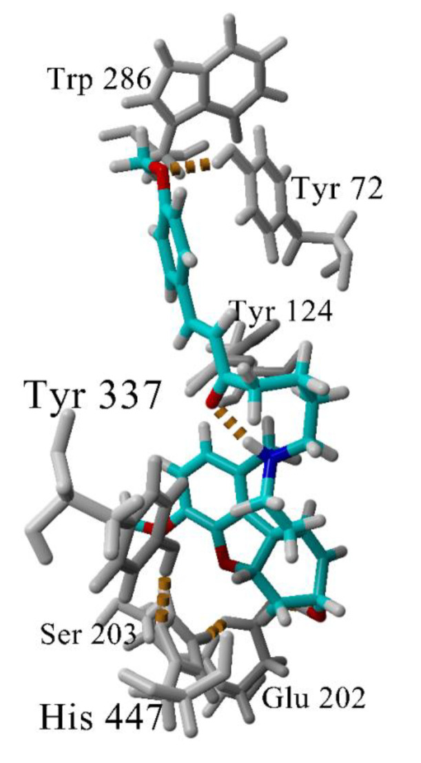 Figure 7