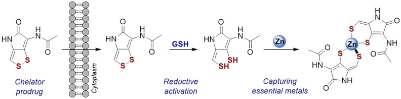 graphic file with name CHEM-29-0-g004.jpg