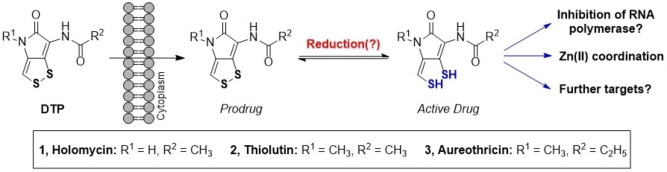 Scheme 1