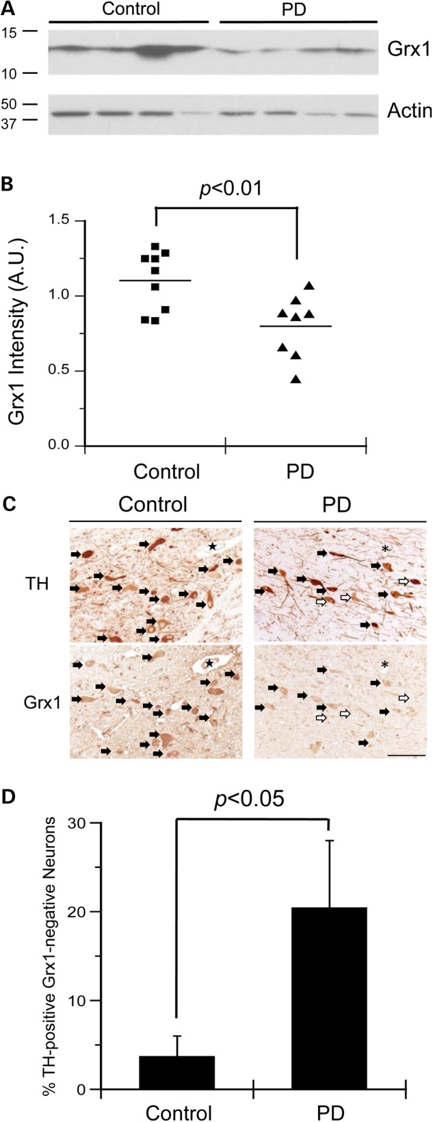 Figure 1.