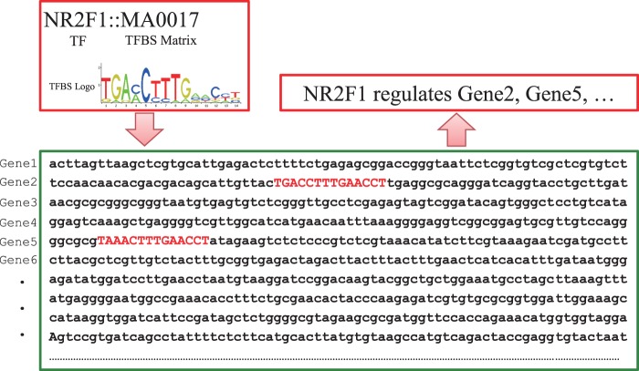 Figure 3.