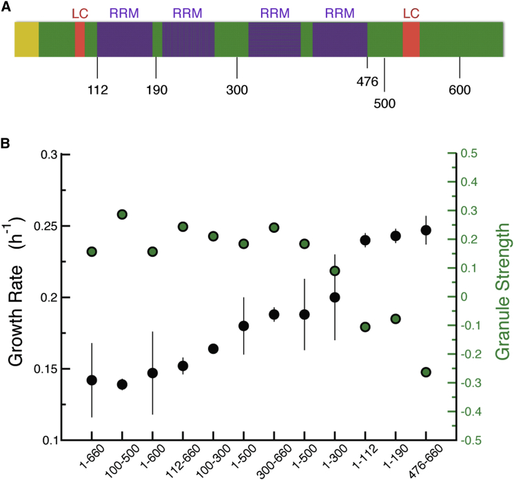 Figure 5