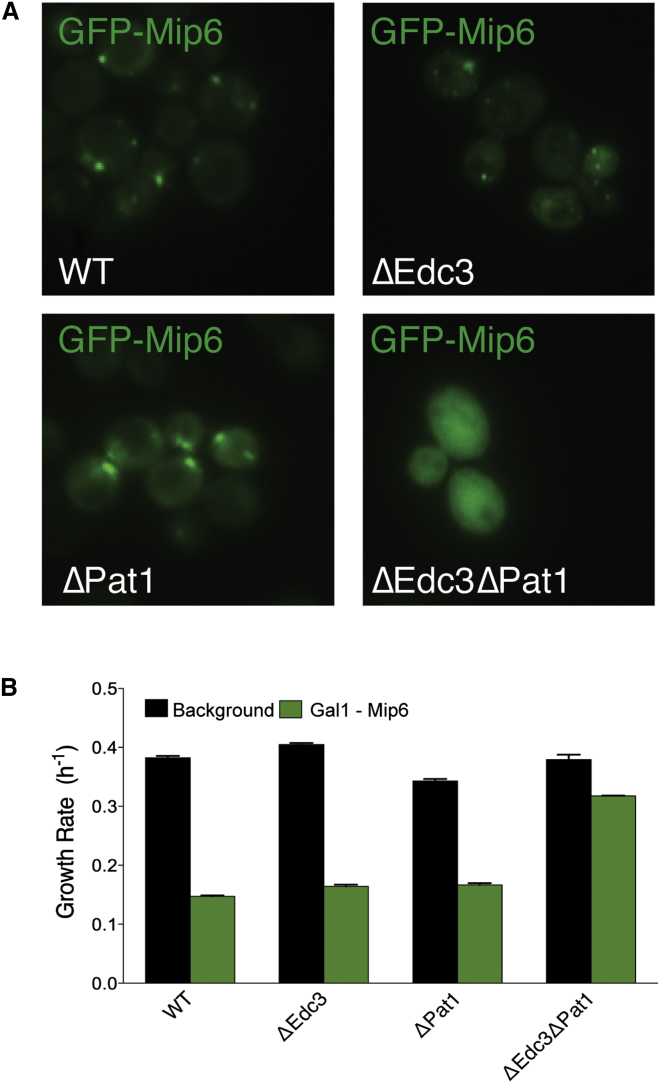 Figure 7