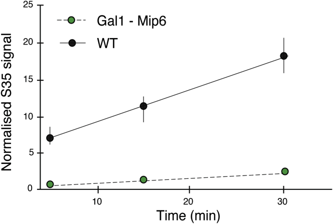 Figure 6