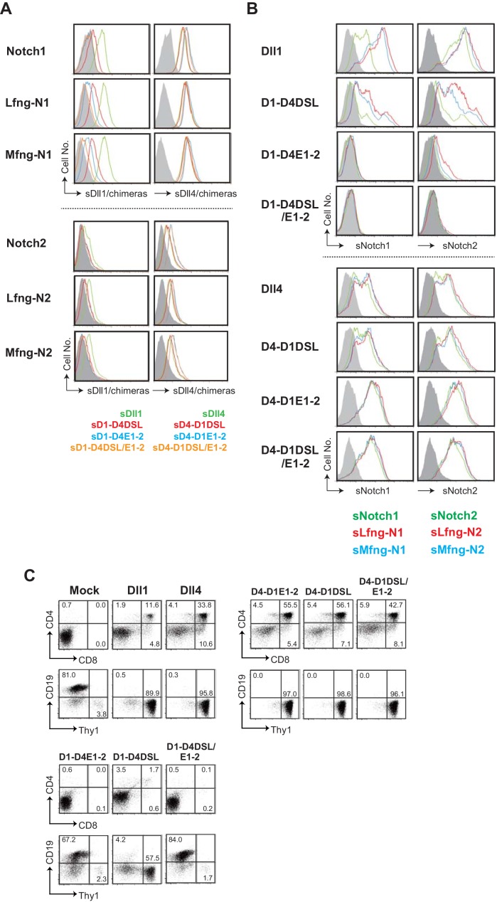 Figure 3—figure supplement 1.