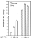 FIG. 10