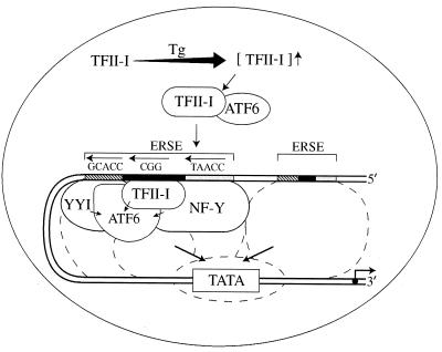 FIG. 14