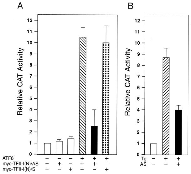 FIG. 12