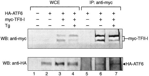 FIG. 13