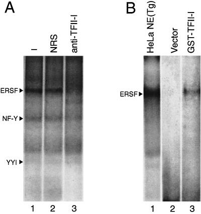 FIG. 8