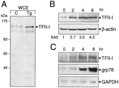 FIG. 7