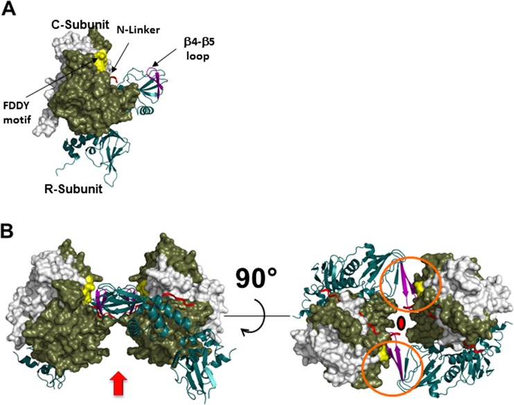 Fig. 4