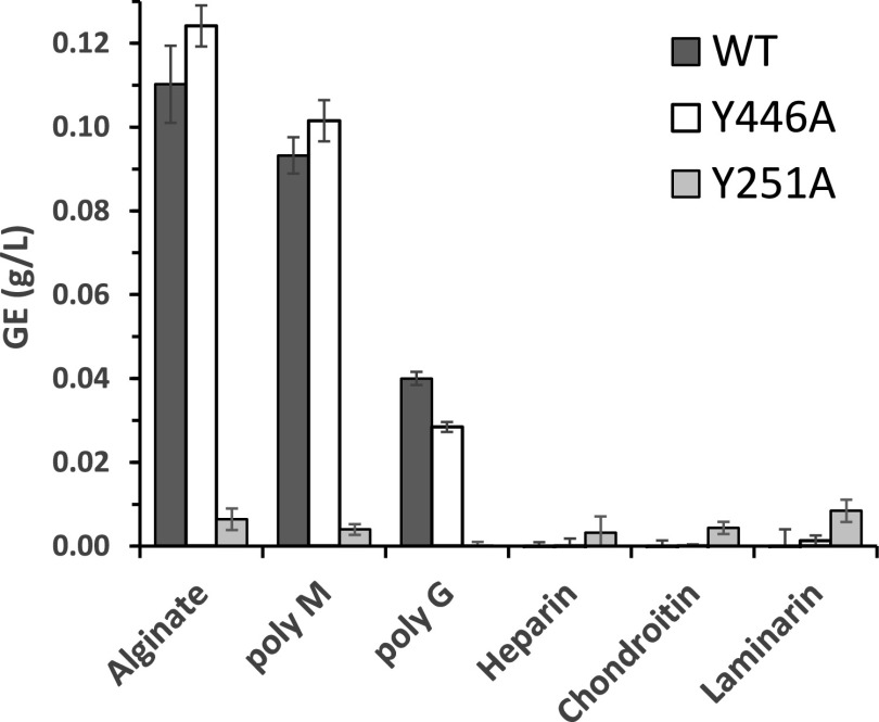 FIG 2