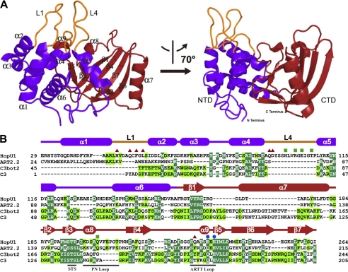 FIGURE 1.