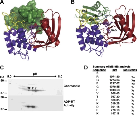 FIGURE 3.