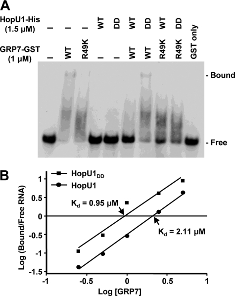 FIGURE 4.