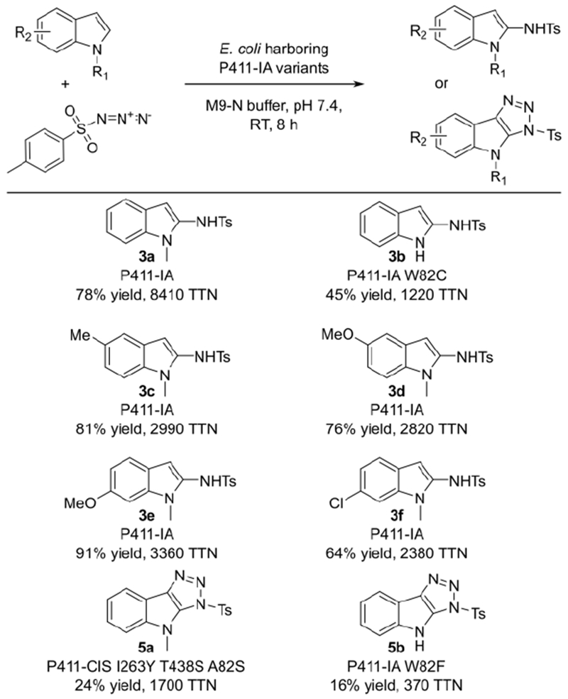 Figure 4: