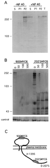 FIG. 1