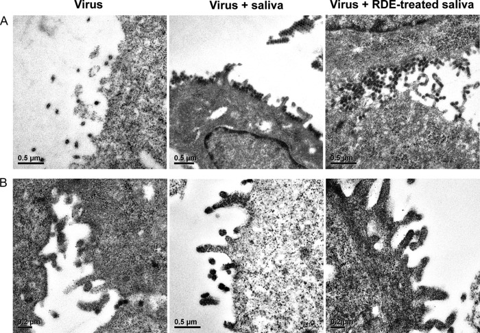 FIG 6