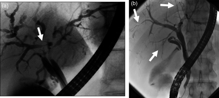 Figure 24